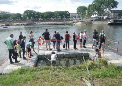 MARINEFLOOR - Tout Angers bouge - Angers - 2017