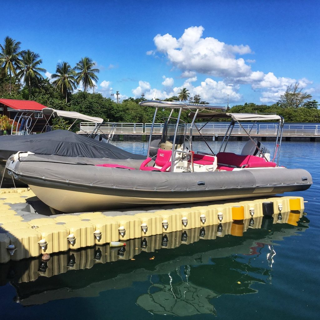 MARINEFLOOR - Caraibes divers - 05