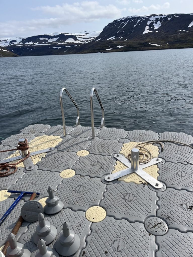 MARINEFLOOR-KOFUNAR-Hestery-Islande-2023-02