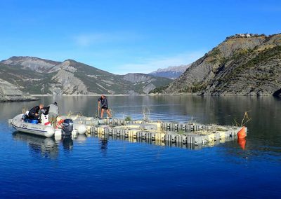 Ile flottante végétalisée – Lac de Serre-Ponçon – 2018