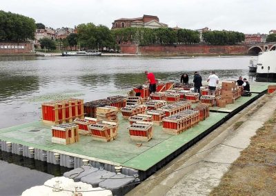 MARINEFLOOR - feux d'artifice - Toulouse - 2016