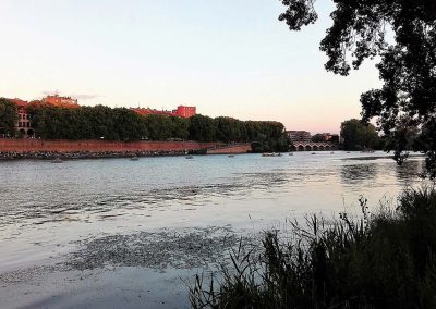 MARINEFLOOR - feux d'artifice - Toulouse - 2016