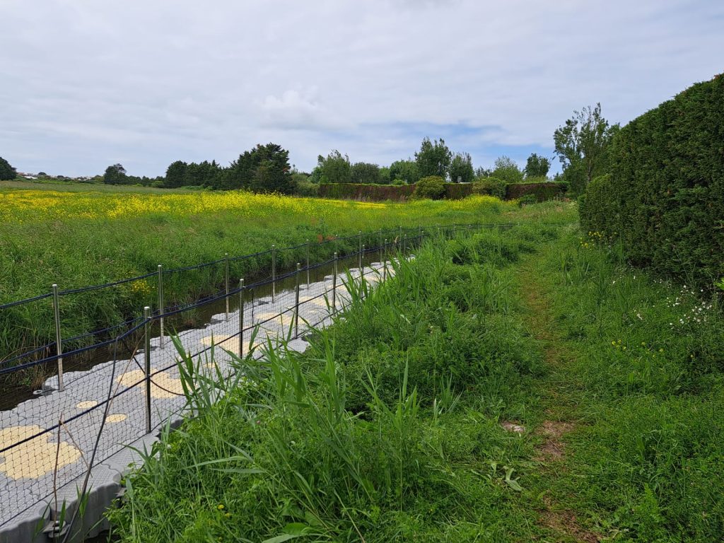 MARINEFLOOR - passerelle acces - Camping les roussieres - Noirmoutiers - 2023 - 04