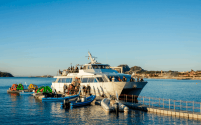 Défi de Monte-Cristo à La Ciotat : un ponton flottant au service des nageurs