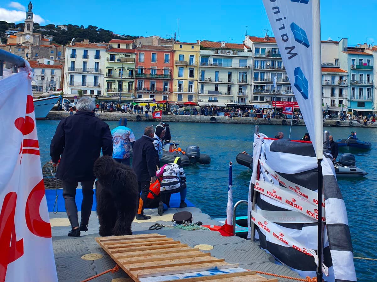 Marine Floor Europe a installé des pontons flottants pour sécuriser l’embarquement à Escale à Sète