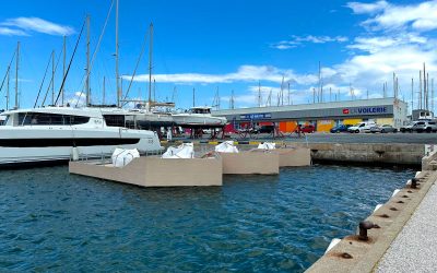 Protéger la biodiversité locale : Marine Floor Europe s’engage pour les sternes